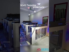 DC 24v Brushless Motor Swing Gate Turnstile Access Control Security Systems